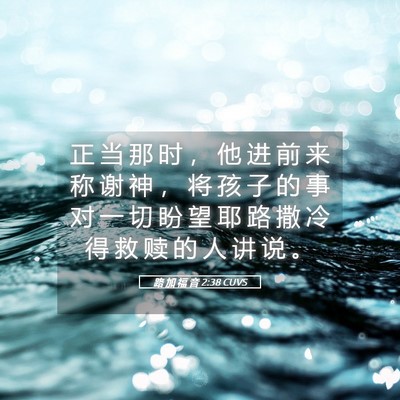 Picture 05 - 路 加 福 音 2:38 CUVS - 正 当 那 时 ， 他 进 前 来 称 谢 神 - Bible Verse Picture