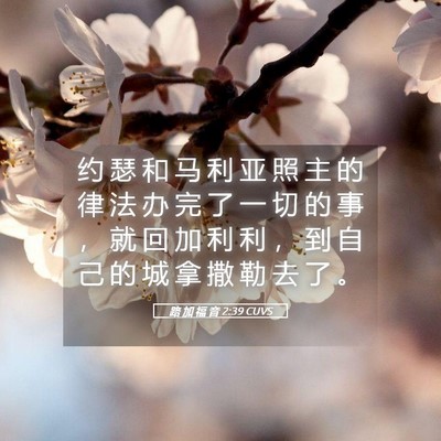 Picture 05 - 路 加 福 音 2:39 CUVS - 约 瑟 和 马 利 亚 照 主 的 律 法 办 - Bible Verse Picture