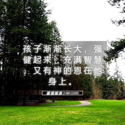 Picture 05 - 路 加 福 音 2:40 CUVS - 孩 子 渐 渐 长 大 ， 强 健 起 来 ， - Bible Verse Picture