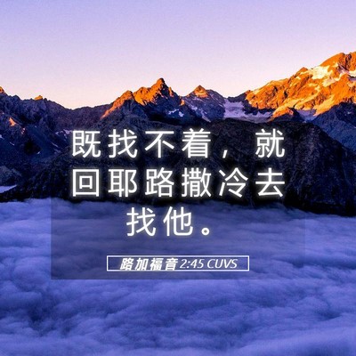 Picture 05 - 路 加 福 音 2:45 CUVS - 既 找 不 着 ， 就 回 耶 路 撒 冷 去 - Bible Verse Picture
