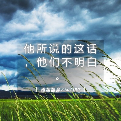 Picture 05 - 路 加 福 音 2:50 CUVS - 他 所 说 的 这 话 ， 他 们 不 明 白 - Bible Verse Picture