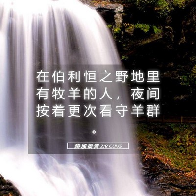 Picture 05 - 路 加 福 音 2:8 CUVS - 在 伯 利 恒 之 野 地 里 有 牧 羊 的 - Bible Verse Picture