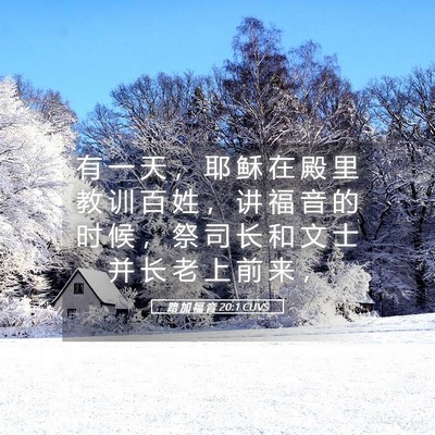 Picture 05 - 路 加 福 音 20:1 CUVS - 有 一 天 ， 耶 稣 在 殿 里 教 训 百 - Bible Verse Picture