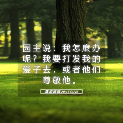 Picture 05 - 路 加 福 音 20:13 CUVS - 园 主 说 ： 我 怎 麽 办 呢 ？ 我 要 - Bible Verse Picture