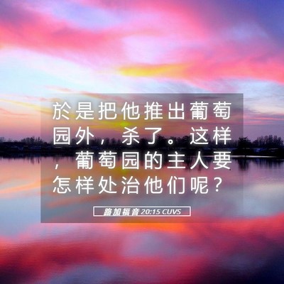 Picture 05 - 路 加 福 音 20:15 CUVS - 於 是 把 他 推 出 葡 萄 园 外 ， 杀 - Bible Verse Picture