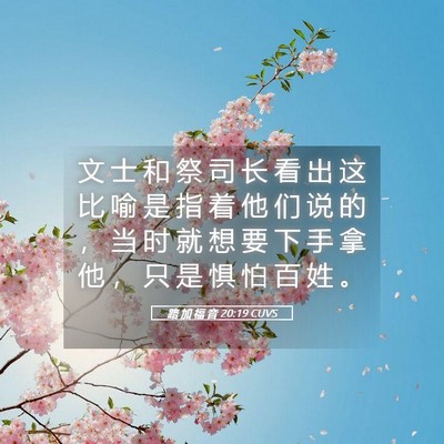 Picture 05 - 路 加 福 音 20:19 CUVS - 文 士 和 祭 司 长 看 出 这 比 喻 是 - Bible Verse Picture