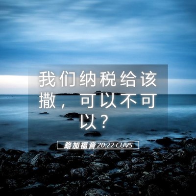 Picture 05 - 路 加 福 音 20:22 CUVS - 我 们 纳 税 给 该 撒 ， 可 以 不 可 - Bible Verse Picture