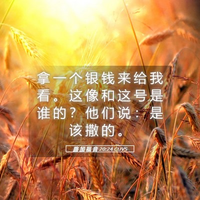 Picture 05 - 路 加 福 音 20:24 CUVS - 拿 一 个 银 钱 来 给 我 看 。 这 像 - Bible Verse Picture