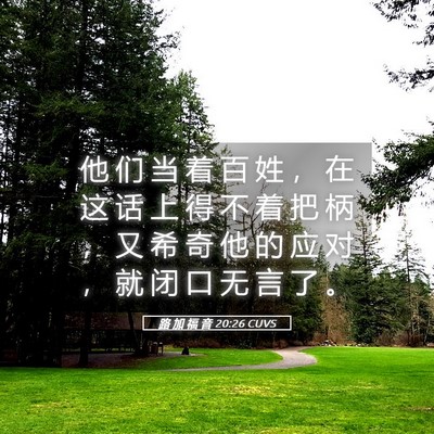 Picture 05 - 路 加 福 音 20:26 CUVS - 他 们 当 着 百 姓 ， 在 这 话 上 得 - Bible Verse Picture