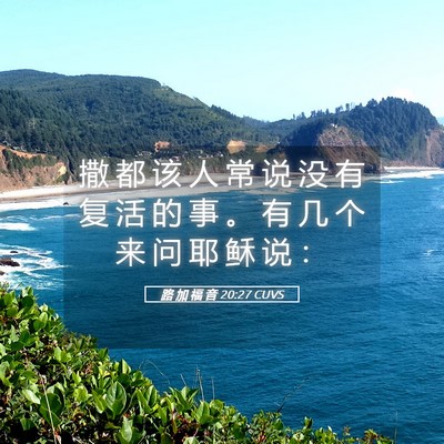 Picture 05 - 路 加 福 音 20:27 CUVS - 撒 都 该 人 常 说 没 有 复 活 的 事 - Bible Verse Picture
