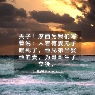 Picture 05 - 路 加 福 音 20:28 CUVS - 夫 子 ！ 摩 西 为 我 们 写 着 说 ： - Bible Verse Picture