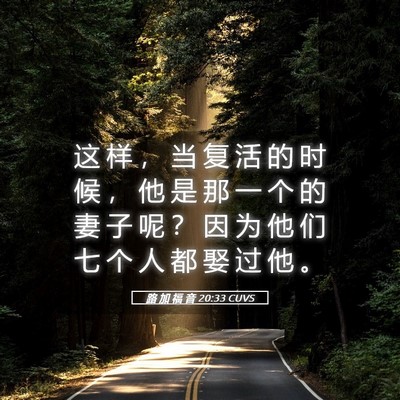 Picture 05 - 路 加 福 音 20:33 CUVS - 这 样 ， 当 复 活 的 时 候 ， 他 是 - Bible Verse Picture
