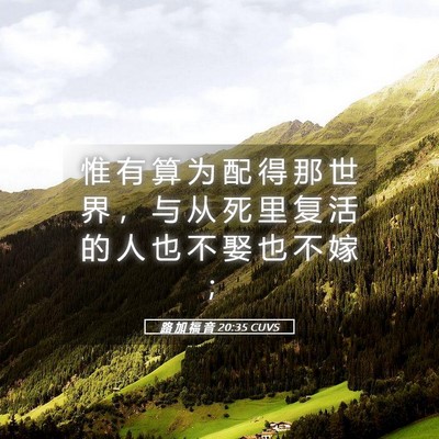 Picture 05 - 路 加 福 音 20:35 CUVS - 惟 有 算 为 配 得 那 世 界 ， 与 从 - Bible Verse Picture