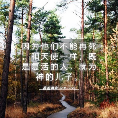 Picture 05 - 路 加 福 音 20:36 CUVS - 因 为 他 们 不 能 再 死 ， 和 天 使 - Bible Verse Picture