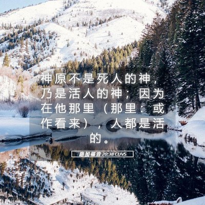 Picture 05 - 路 加 福 音 20:38 CUVS - 神 原 不 是 死 人 的 神 ， 乃 是 活 - Bible Verse Picture