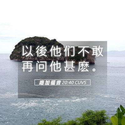 Picture 05 - 路 加 福 音 20:40 CUVS - 以 後 他 们 不 敢 再 问 他 甚 麽 - Bible Verse Picture
