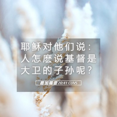 Picture 05 - 路 加 福 音 20:41 CUVS - 耶 稣 对 他 们 说 ： 人 怎 麽 说 基 - Bible Verse Picture