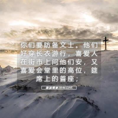 Picture 05 - 路 加 福 音 20:46 CUVS - 你 们 要 防 备 文 士 。 他 们 好 穿 - Bible Verse Picture