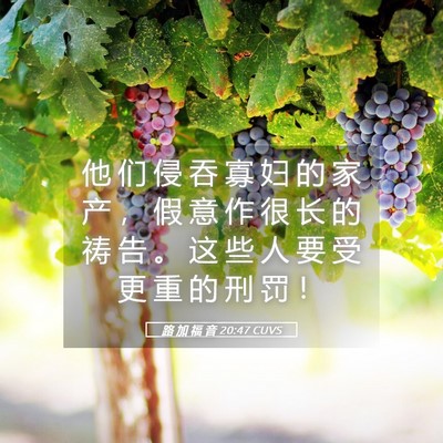 Picture 05 - 路 加 福 音 20:47 CUVS - 他 们 侵 吞 寡 妇 的 家 产 ， 假 意 - Bible Verse Picture