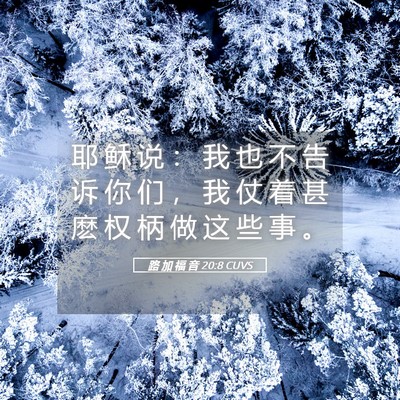 Picture 05 - 路 加 福 音 20:8 CUVS - 耶 稣 说 ： 我 也 不 告 诉 你 们 ， - Bible Verse Picture