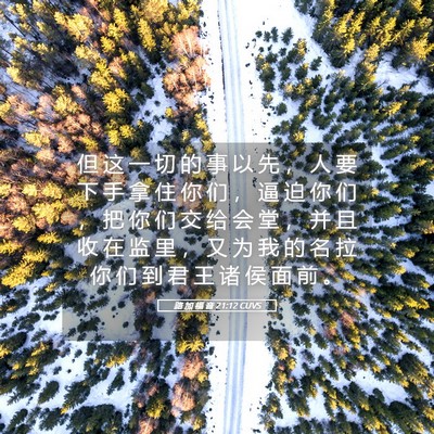 Picture 05 - 路 加 福 音 21:12 CUVS - 但 这 一 切 的 事 以 先 ， 人 要 下 - Bible Verse Picture