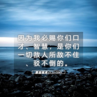 Picture 05 - 路 加 福 音 21:15 CUVS - 因 为 我 必 赐 你 们 口 才 、 智 慧 - Bible Verse Picture