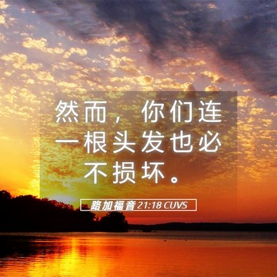 Picture 05 - 路 加 福 音 21:18 CUVS - 然 而 ， 你 们 连 一 根 头 发 也 必 - Bible Verse Picture