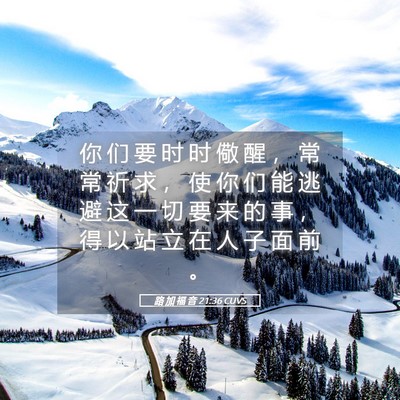 Picture 05 - 路 加 福 音 21:36 CUVS - 你 们 要 时 时 儆 醒 ， 常 常 祈 求 - Bible Verse Picture
