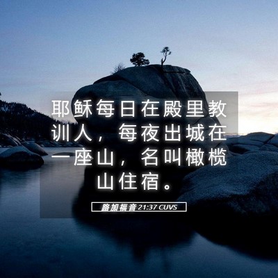 Picture 05 - 路 加 福 音 21:37 CUVS - 耶 稣 每 日 在 殿 里 教 训 人 ， 每 - Bible Verse Picture