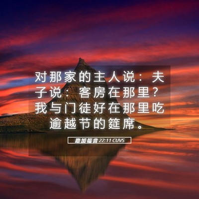 Picture 05 - 路 加 福 音 22:11 CUVS - 对 那 家 的 主 人 说 ： 夫 子 说 ： - Bible Verse Picture