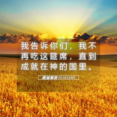 Picture 05 - 路 加 福 音 22:16 CUVS - 我 告 诉 你 们 ， 我 不 再 吃 这 筵 - Bible Verse Picture