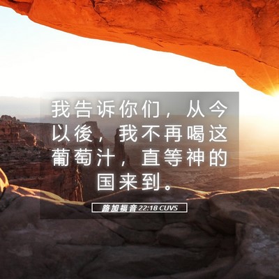 Picture 05 - 路 加 福 音 22:18 CUVS - 我 告 诉 你 们 ， 从 今 以 後 ， 我 - Bible Verse Picture