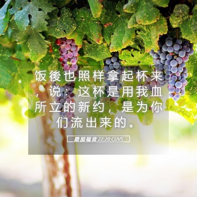 Picture 05 - 路 加 福 音 22:20 CUVS - 饭 後 也 照 样 拿 起 杯 来 ， 说 ： - Bible Verse Picture