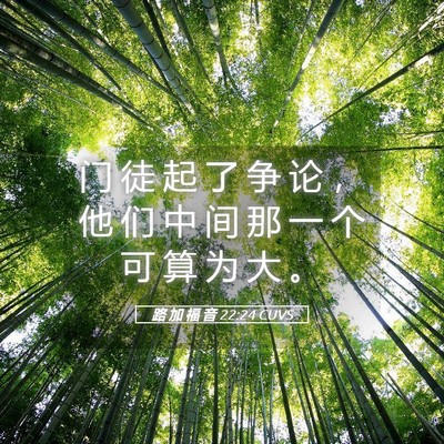 Picture 05 - 路 加 福 音 22:24 CUVS - 门 徒 起 了 争 论 ， 他 们 中 间 那 - Bible Verse Picture