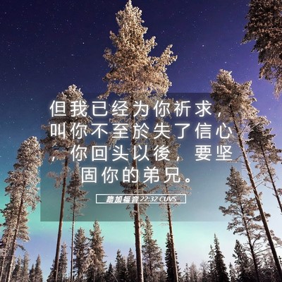 Picture 05 - 路 加 福 音 22:32 CUVS - 但 我 已 经 为 你 祈 求 ， 叫 你 不 - Bible Verse Picture