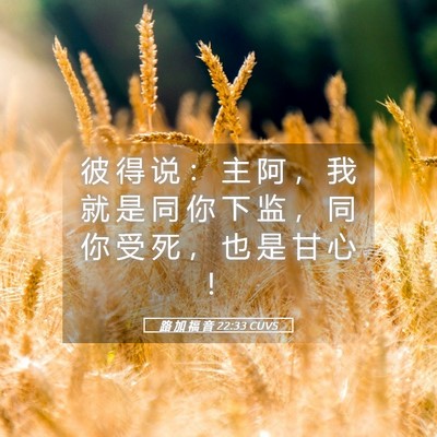Picture 05 - 路 加 福 音 22:33 CUVS - 彼 得 说 ： 主 阿 ， 我 就 是 同 你 - Bible Verse Picture