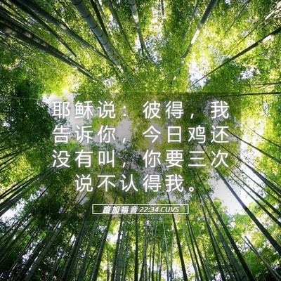 Picture 05 - 路 加 福 音 22:34 CUVS - 耶 稣 说 ： 彼 得 ， 我 告 诉 你 ， - Bible Verse Picture