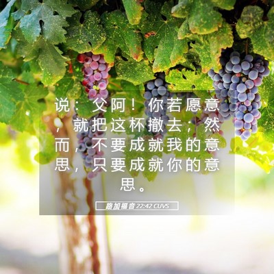 Picture 05 - 路 加 福 音 22:42 CUVS - 说 ： 父 阿 ！ 你 若 愿 意 ， 就 把 - Bible Verse Picture