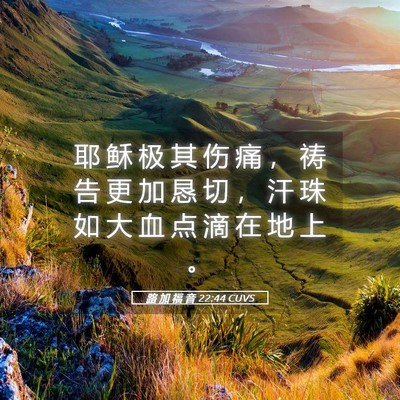 Picture 05 - 路 加 福 音 22:44 CUVS - 耶 稣 极 其 伤 痛 ， 祷 告 更 加 恳 - Bible Verse Picture