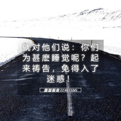 Picture 05 - 路 加 福 音 22:46 CUVS - 就 对 他 们 说 ： 你 们 为 甚 麽 睡 - Bible Verse Picture