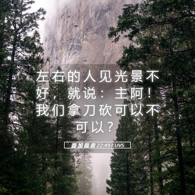 Picture 05 - 路 加 福 音 22:49 CUVS - 左 右 的 人 见 光 景 不 好 ， 就 说 - Bible Verse Picture