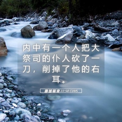 Picture 05 - 路 加 福 音 22:50 CUVS - 内 中 有 一 个 人 把 大 祭 司 的 仆 - Bible Verse Picture