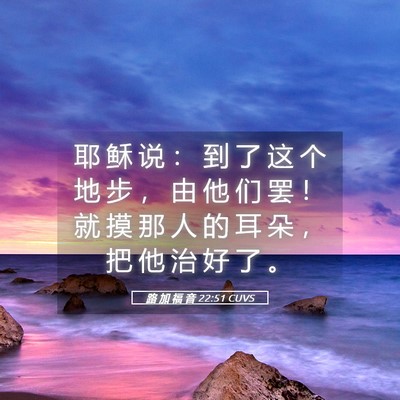 Picture 05 - 路 加 福 音 22:51 CUVS - 耶 稣 说 ： 到 了 这 个 地 步 ， 由 - Bible Verse Picture