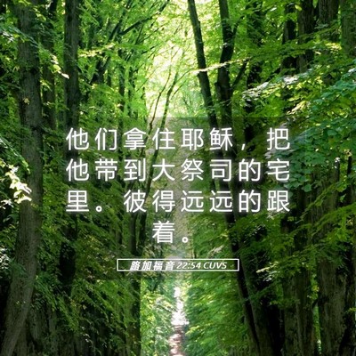 Picture 05 - 路 加 福 音 22:54 CUVS - 他 们 拿 住 耶 稣 ， 把 他 带 到 大 - Bible Verse Picture