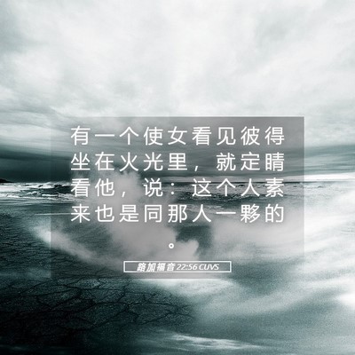 Picture 05 - 路 加 福 音 22:56 CUVS - 有 一 个 使 女 看 见 彼 得 坐 在 火 - Bible Verse Picture