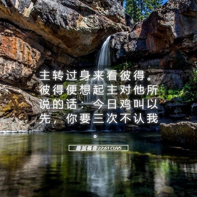 Picture 05 - 路 加 福 音 22:61 CUVS - 主 转 过 身 来 看 彼 得 。 彼 得 便 - Bible Verse Picture