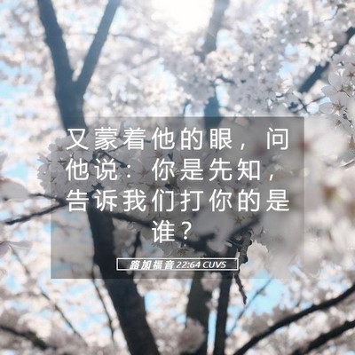 Picture 05 - 路 加 福 音 22:64 CUVS - 又 蒙 着 他 的 眼 ， 问 他 说 ： 你 - Bible Verse Picture