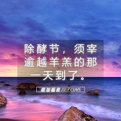 Picture 05 - 路 加 福 音 22:7 CUVS - 除 酵 节 ， 须 宰 逾 越 羊 羔 的 那 - Bible Verse Picture