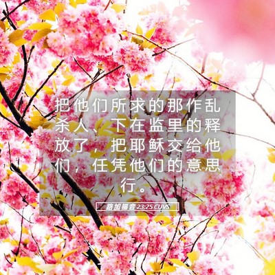 Picture 05 - 路 加 福 音 23:25 CUVS - 把 他 们 所 求 的 那 作 乱 杀 人 、 - Bible Verse Picture