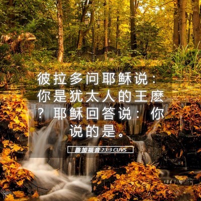 Picture 05 - 路 加 福 音 23:3 CUVS - 彼 拉 多 问 耶 稣 说 ： 你 是 犹 太 - Bible Verse Picture
